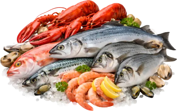 Gian hải sản tươi sống